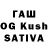 Галлюциногенные грибы Psilocybine cubensis KAY CULT