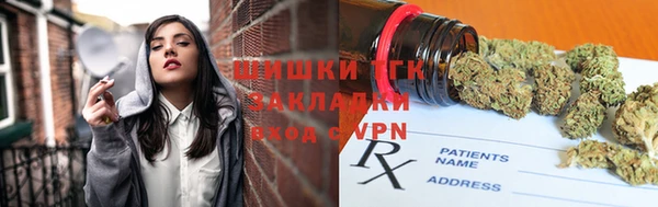 гидра Вяземский