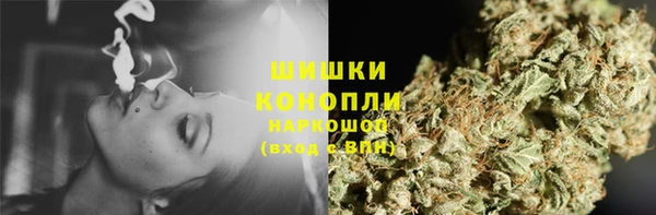 гидра Вяземский