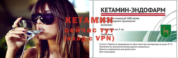 гидра Вяземский