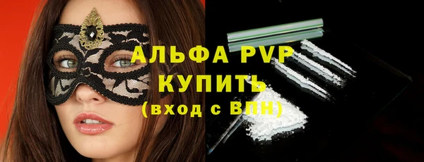 гидра Вяземский
