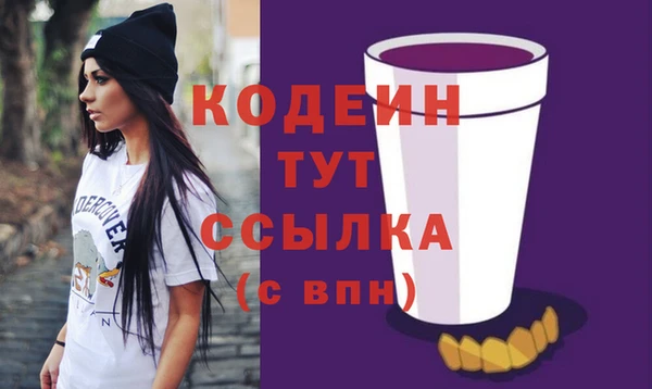 гидра Вяземский