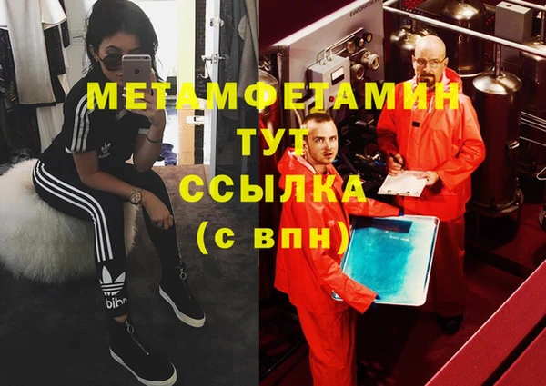 гидра Вяземский