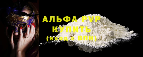 гидра Вяземский