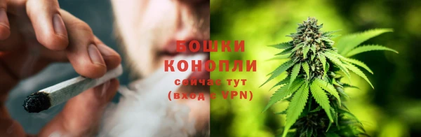 гидра Вяземский