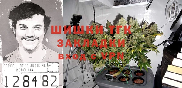 гидра Вяземский