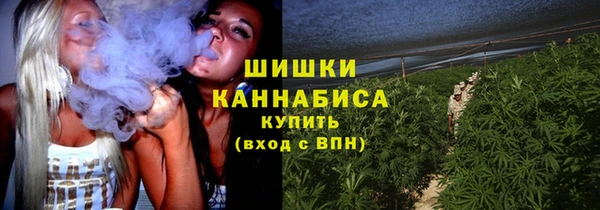 гидра Вяземский