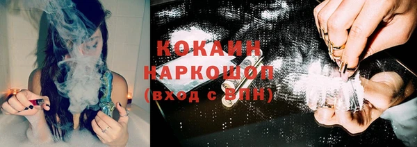 гидра Вяземский