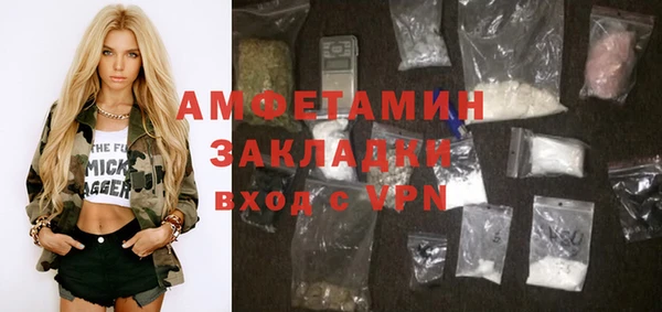 гидра Вяземский