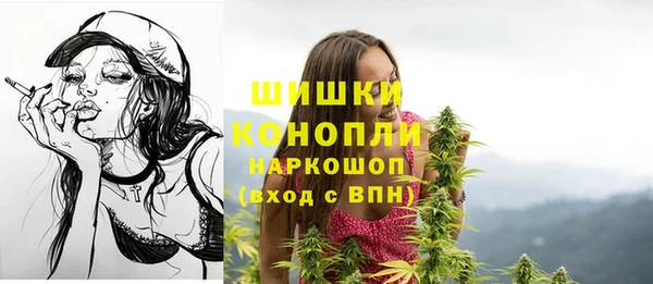 гидра Вяземский