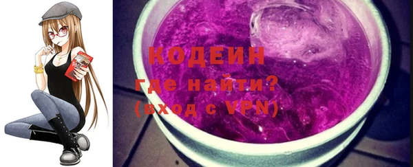 гидра Вяземский