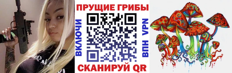 Купить  Кириши  Псилоцибиновые грибы Cubensis 